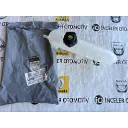 217104337R ZOE GENLEŞME...