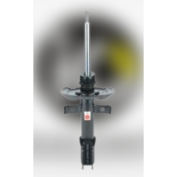 543028406R ZOE PH2 ON...