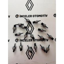 178504638R AUSTRAL BASINC...