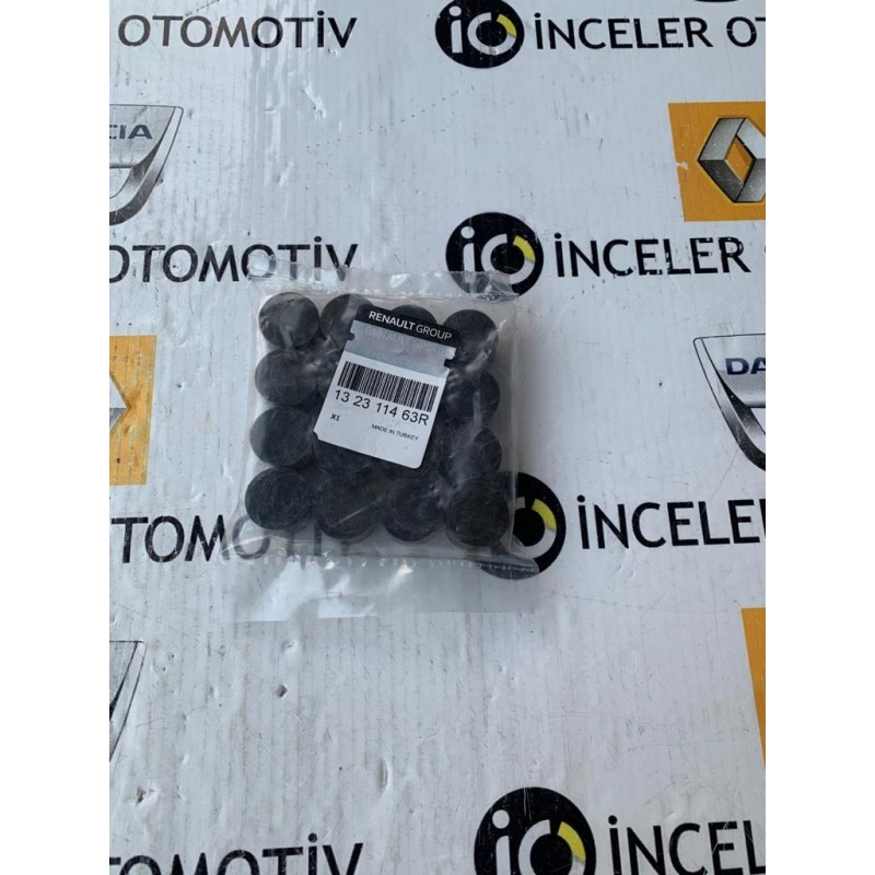 132311463R SANDERO SYMBOL 1.0 SCE MOTOR SUBAP FINCANI KADEHI