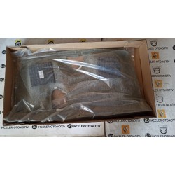 8200448578 CLIO 2 II ARKA TABLA PANDIZOT MAIS