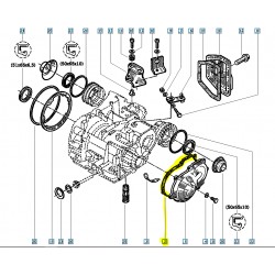 7700735572 MEGANE DEPO ŞANZIMAN KAPAK CONTA MAIS